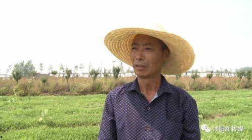 大沭阳的吃瓜,瓜香四溢，品味生活百态